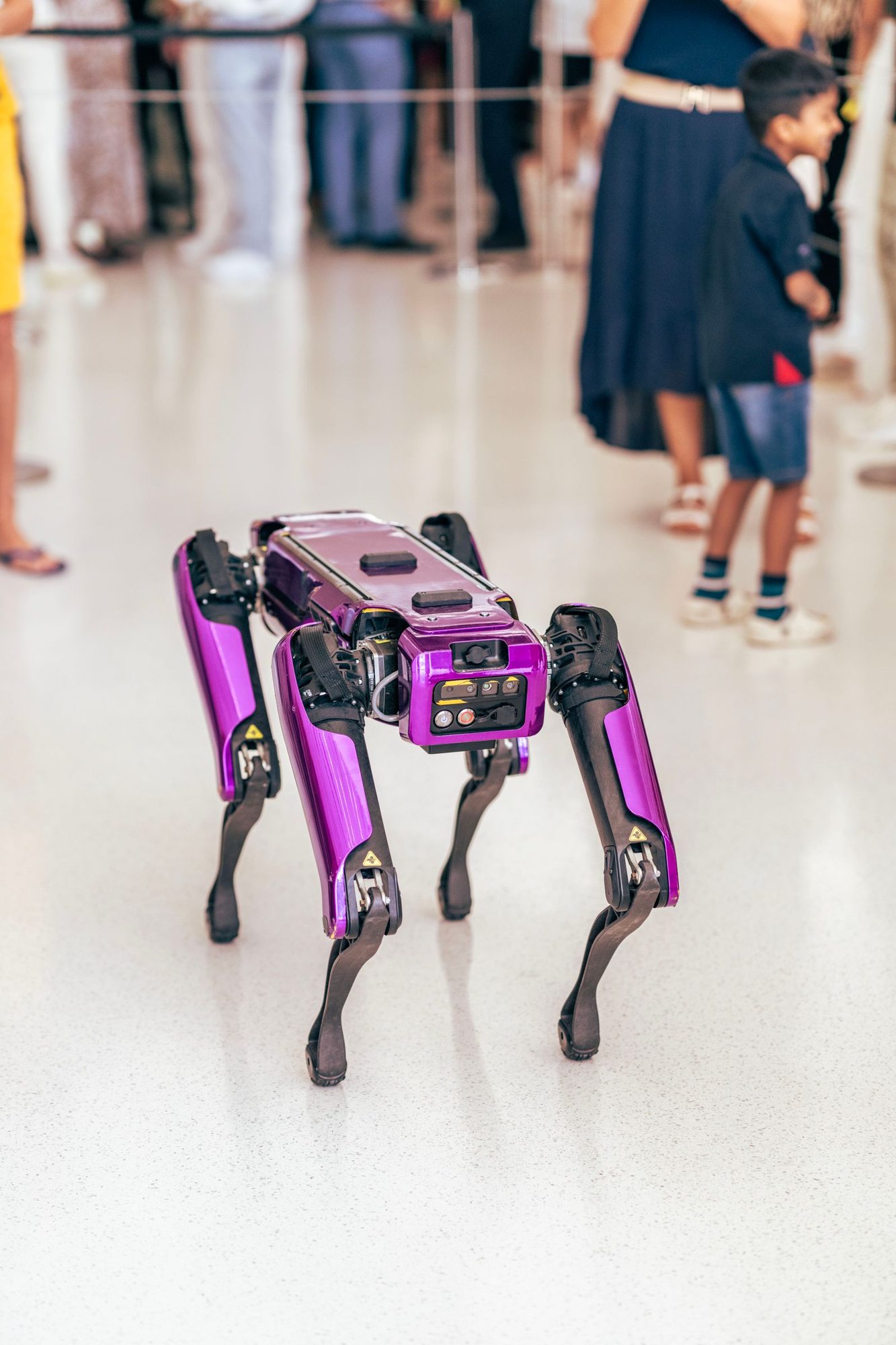 Quadruped robot demonstrated in front of visitors